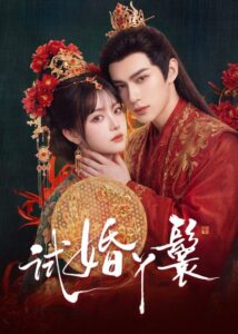 مشاهدة مسلسل خادمة المحاكمة The Trial Handmaiden الحلقة 2 مترجمة
