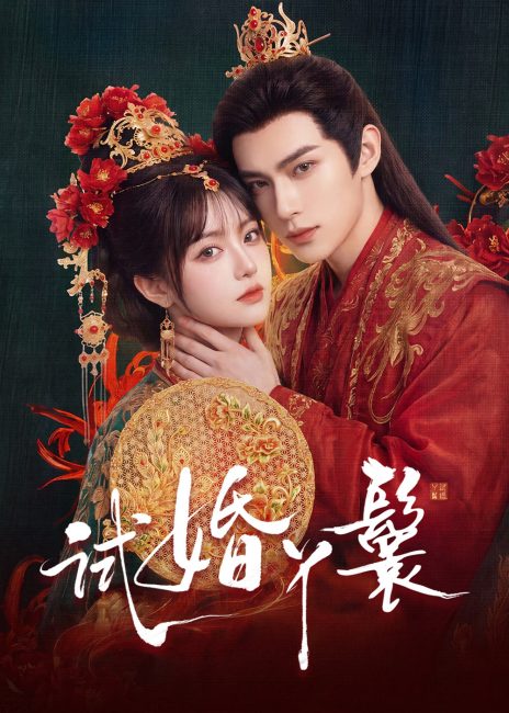 مشاهدة مسلسل خادمة المحاكمة The Trial Handmaiden الحلقة 12 مترجمة